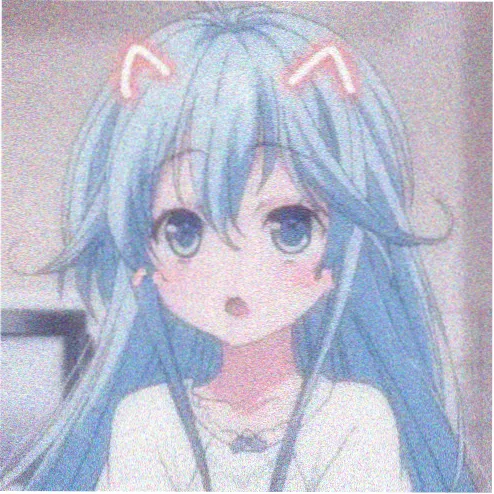 会员